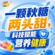 相聚金陵金秋，第115届秋季糖酒会，食饮新财富，触手可及